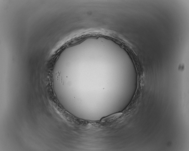 X0000111631496200907311214