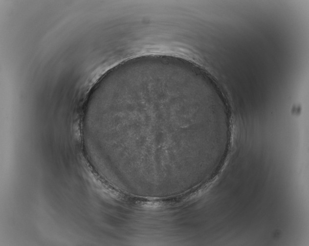 X0000111631497200907311214