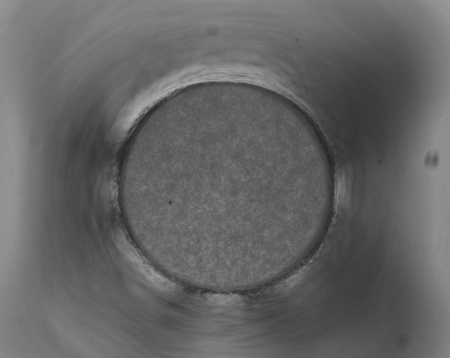 X0000111631498200907311214