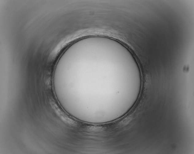 X0000111631499200907311214