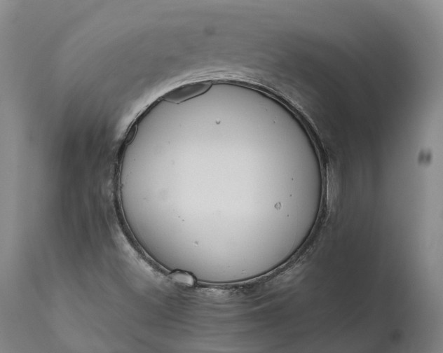 X0000111631500200907311214