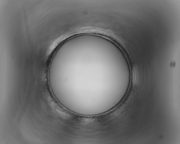 X0000111631501200907311214