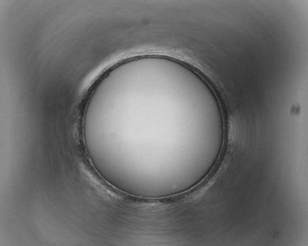 X0000111631502200907311214