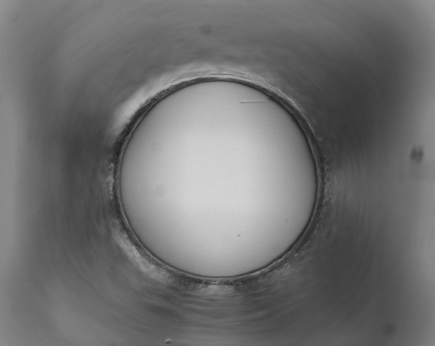 X0000111631503200907311214