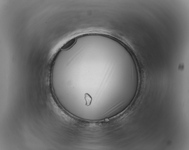 X0000111631504200907311214