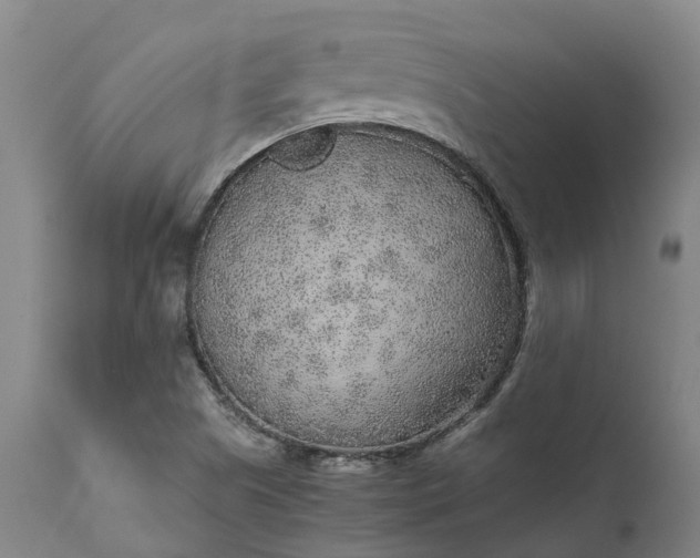 X0000111631505200907311214