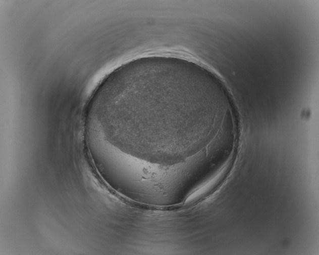 X0000111631506200907311214