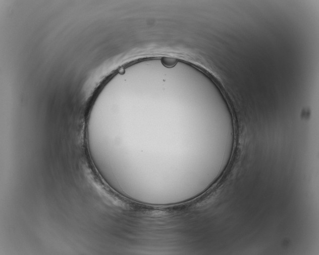 X0000111631507200907311214