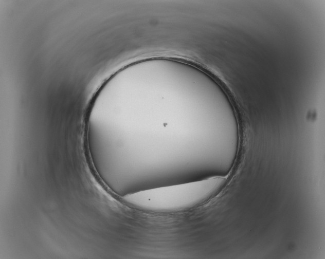 X0000111631508200907311214