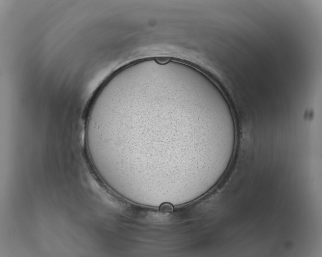 X0000111631509200907311214