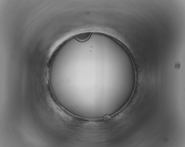 X0000111631510200907311214