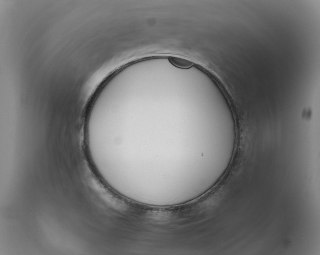 X0000111631511200907311214