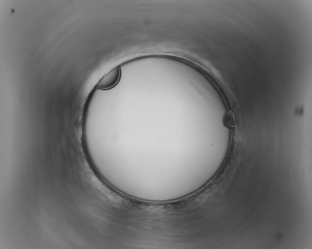 X0000111631512200907311214