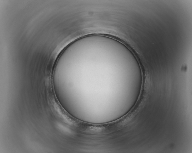 X0000111631513200907311214