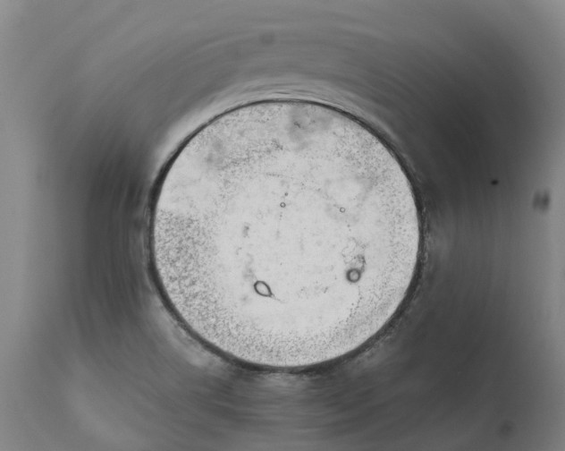 X0000111631514200907311214