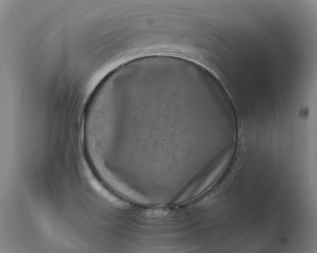 X0000111631515200907311214