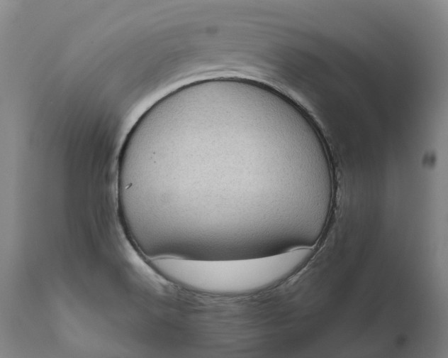 X0000111631516200907311214