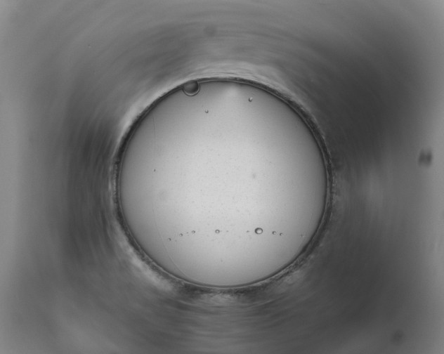 X0000111631517200907311214