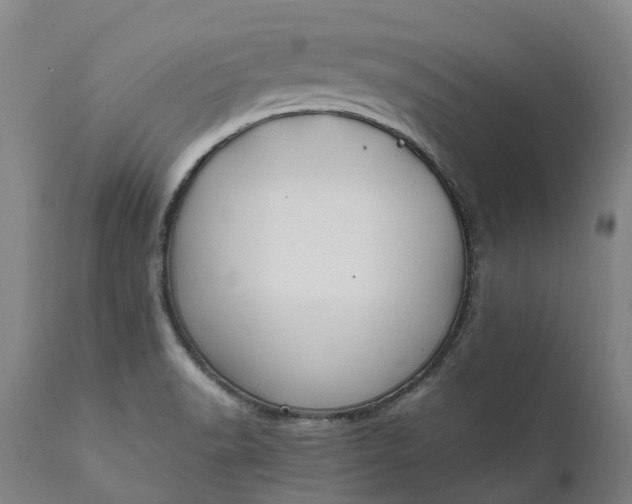 X0000111631518200907311214