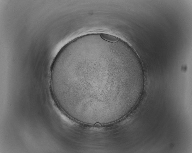 X0000111631519200907311214