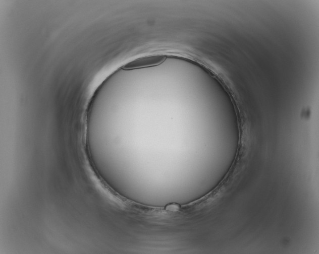 X0000111631520200907311214