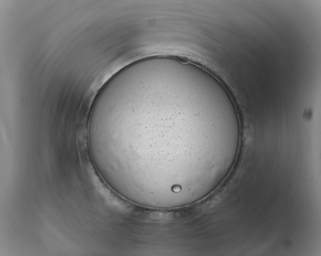 X0000111631521200907311214