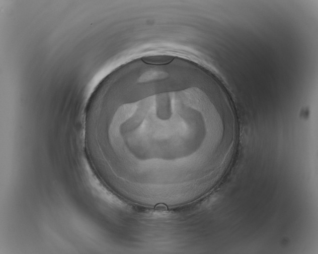 X0000111631522200907311214