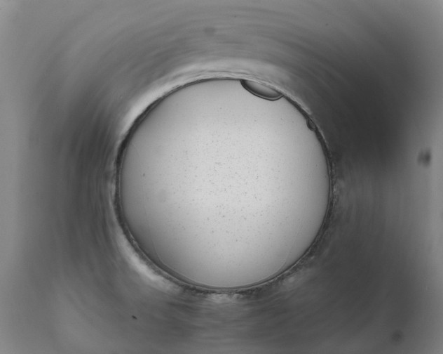 X0000111631523200907311214