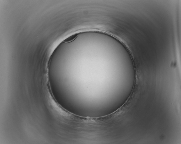 X0000111631524200907311214