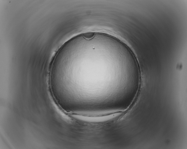 X0000111631525200907311214