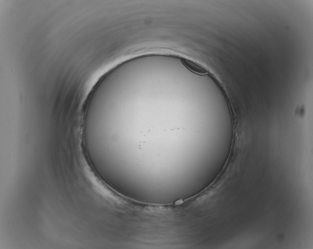 X0000111631526200907311214