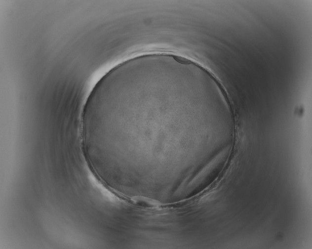 X0000111631527200907311214