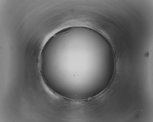 X0000111631528200907311214