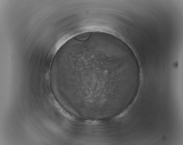 X0000111631529200907311214