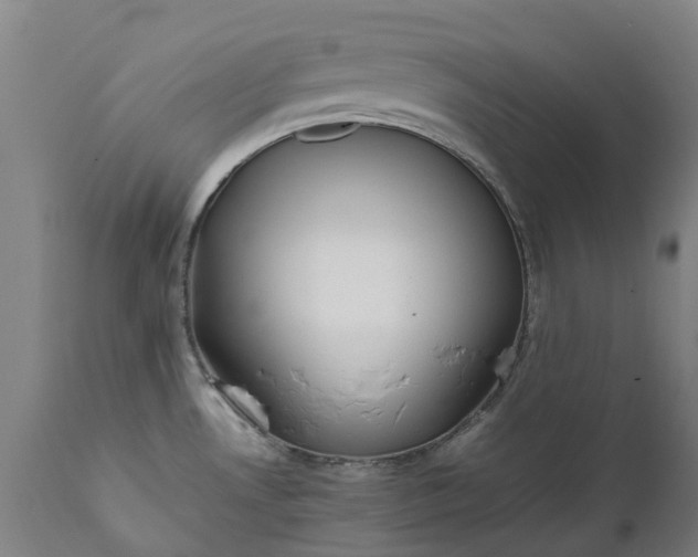 X0000111631530200907311214