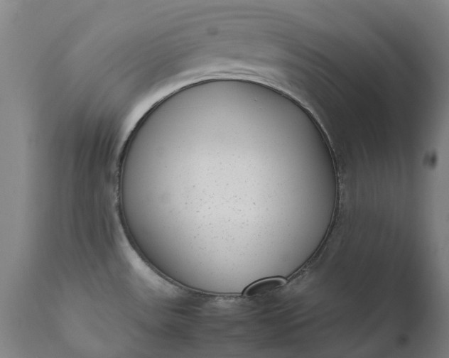 X0000111631531200907311214