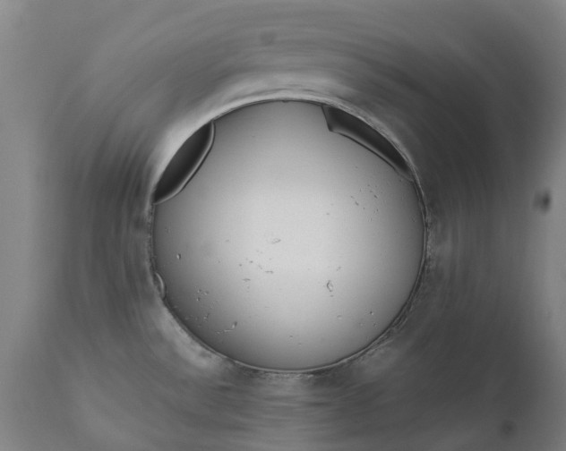 X0000111631532200907311214