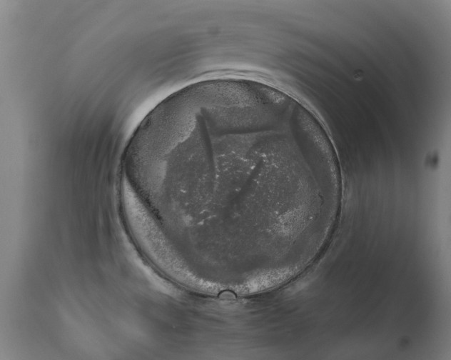 X0000111631533200907311214