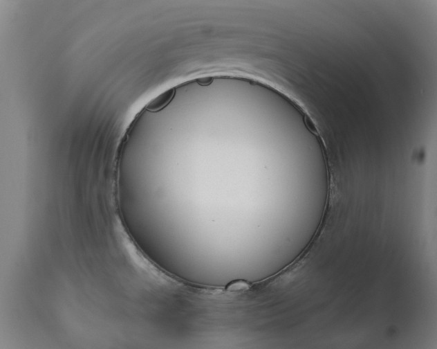 X0000111631534200907311214