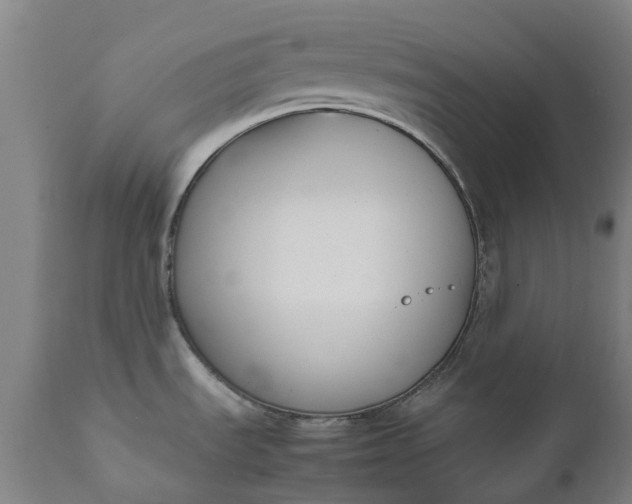 X0000111631535200907311214