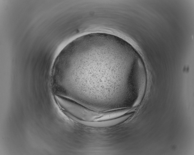 X0000111631536200907311214