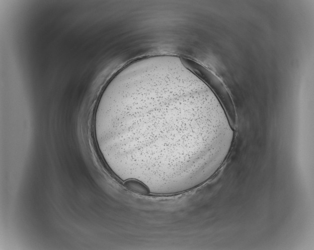 X0000111630001200908071421