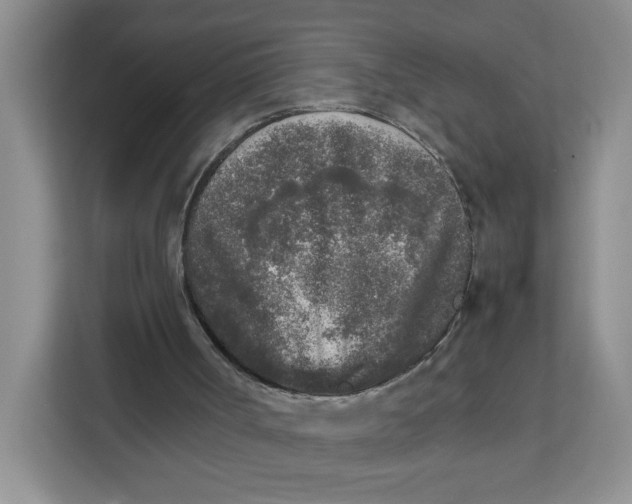 X0000111630002200908071421