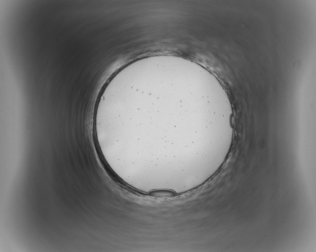 X0000111630003200908071421