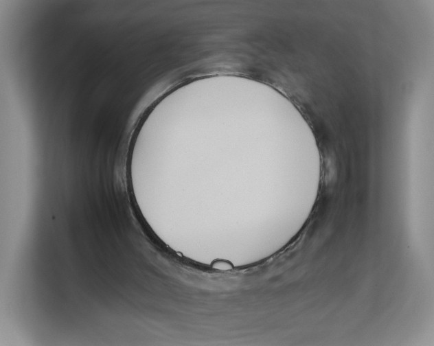 X0000111630004200908071421