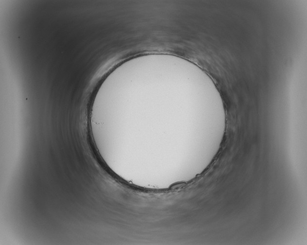 X0000111630005200908071421