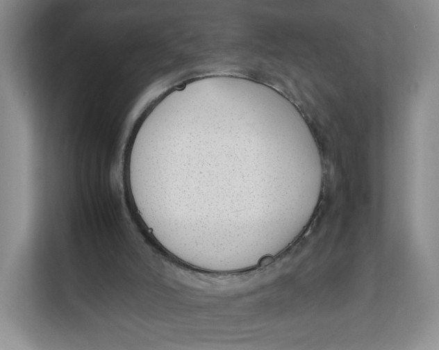 X0000111630006200908071421