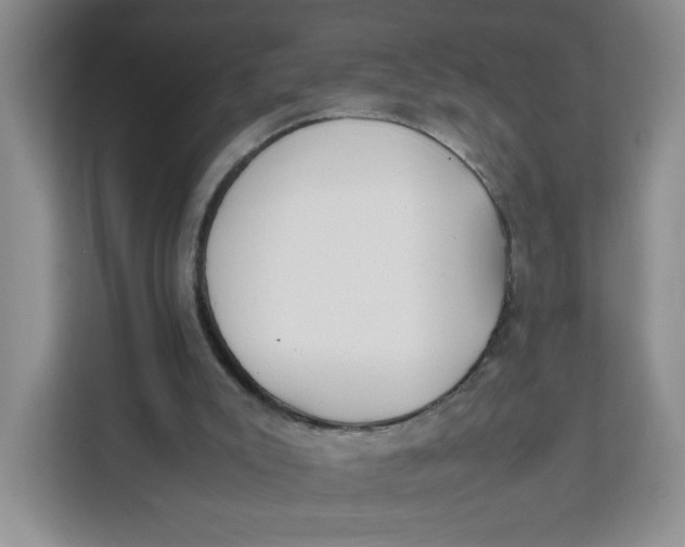 X0000111630007200908071421