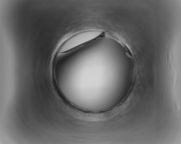 X0000111630008200908071421