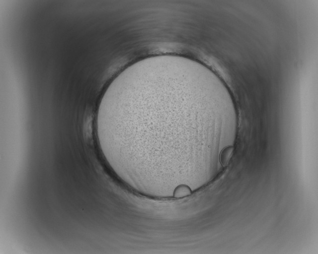 X0000111630010200908071420